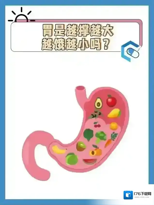 胃越撑越大越饿越小吗