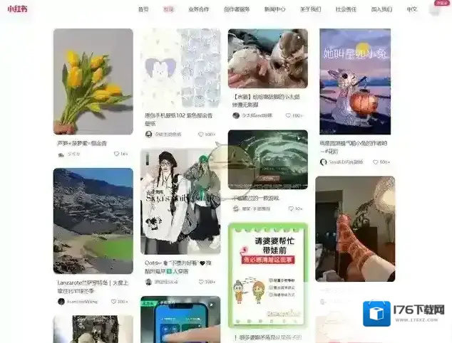 《小红书》网页版登录入口2025 《小红书》网页版登录入口2025