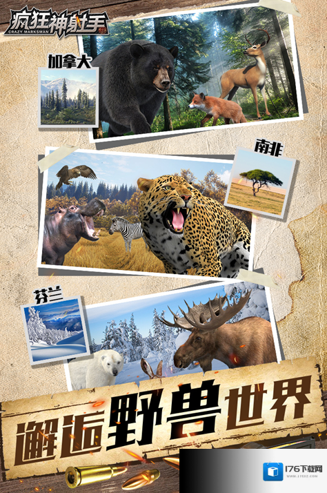 疯狂神射手 疯狂神射手