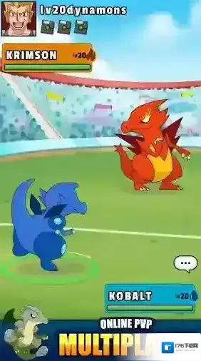 口袋妖怪的世界