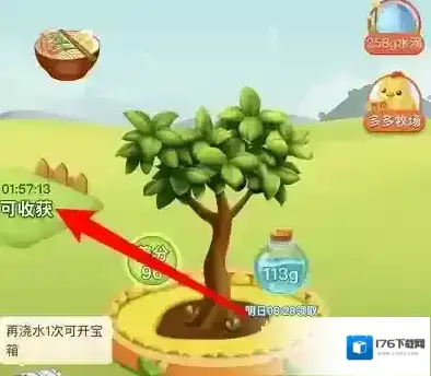 拼多多app为什么没有多多果园 多多果园进入介绍