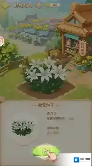 我的花园世界