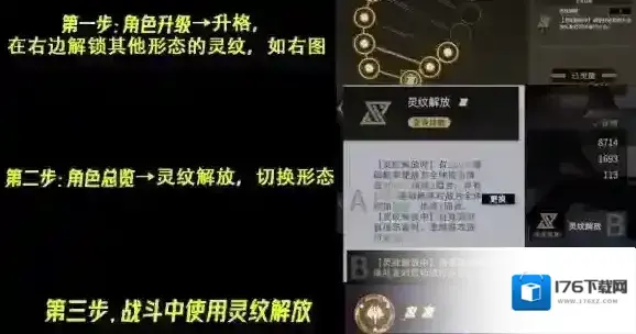 非匿名指令纹章搭配攻略 非匿名指令通用纹章搭配推荐
