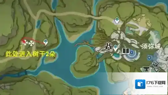 原神树王圣体菇怎么获得 采集点路线分享