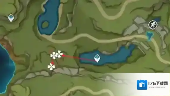 原神树王圣体菇怎么获得 采集点路线分享