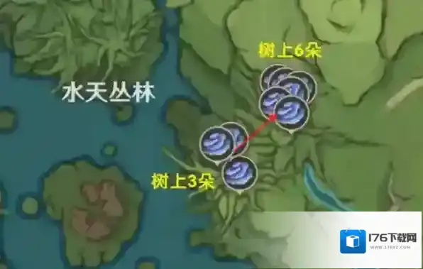 原神树王圣体菇怎么获得 采集点路线分享