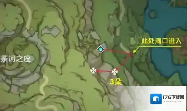 原神树王圣体菇怎么获得 采集点路线分享