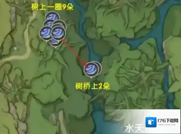 原神树王圣体菇怎么获得 采集点路线分享