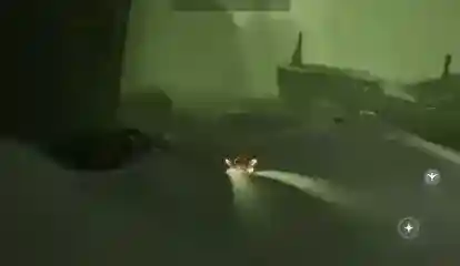 光遇5月11日每日任务攻略2023