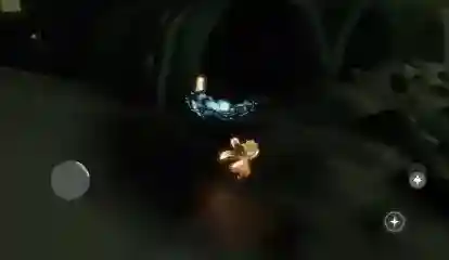 光遇5月11日每日任务攻略2023