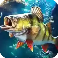 欢乐钓鱼大师手游2025-欢乐钓鱼大师官方最新版Android1.0.0.167877