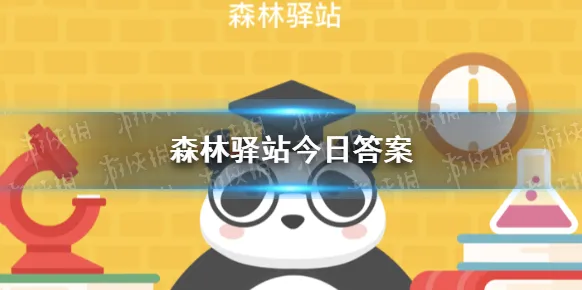 新浪微博森林驿站