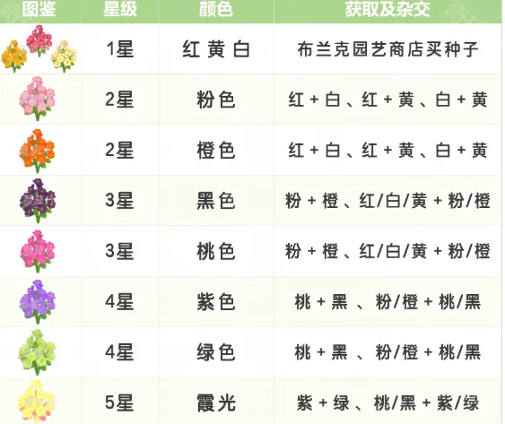 心动小镇布兰克