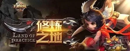 王者荣耀资格