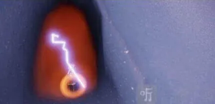 光遇收集