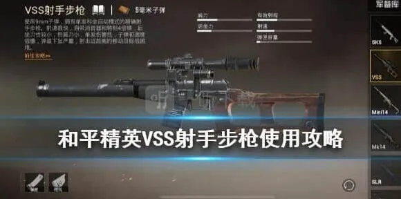 和平精英VSS使用流程