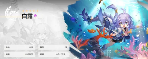 《崩坏：星穹铁道》初始角色选择详解