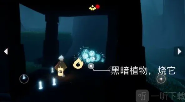 光遇有哪些