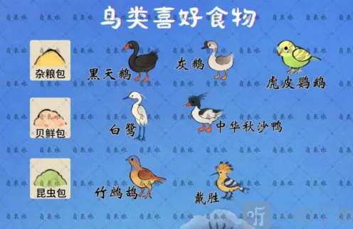 桃源深处有人家鸟类喜好食物一览详细指南