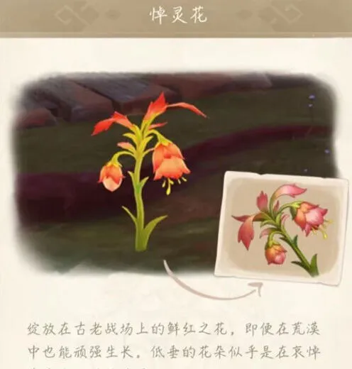 原神悼灵花刷新时间玩法介绍