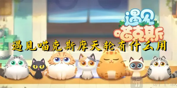 遇见摩天轮的用处完整指南