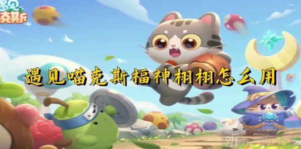 遇见喵克斯福神栩栩详细攻略