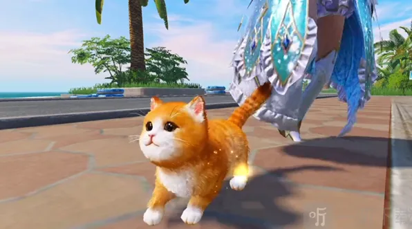 《和平精英》猫咪名字修改技巧