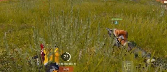 和平精英套装