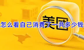 美团如何查看美团消费总额操作指南