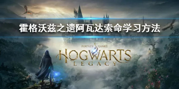 哈利波特阿瓦达索命