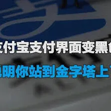 支付宝页面变成黑色完整指南