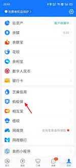 支付宝好医保退保操作指南