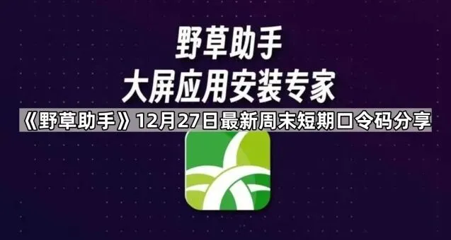 夸克12月27日最新周末短期口令码分享指南