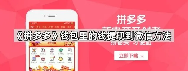 《拼多多》：钱包里的钱提现到微信操作教程