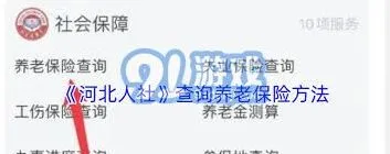 微信查询养老金完整指南