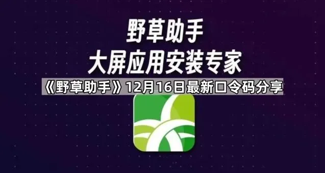 TA野草