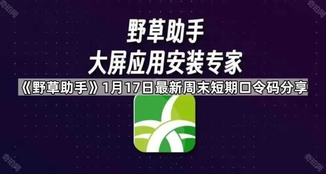 TA最新周末短期口令码分享方法详解