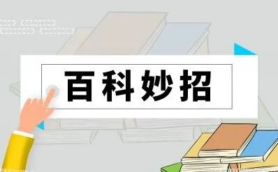 torrentkitty怎么用的完整指南