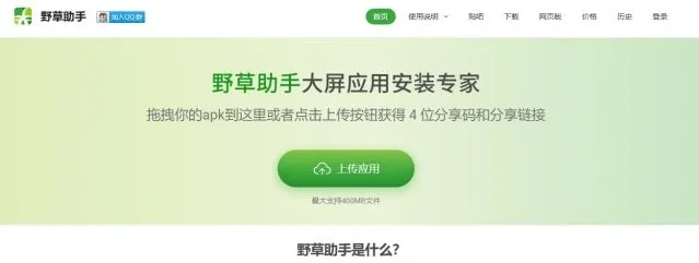 乐播投屏野草