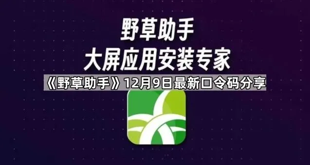 《TA》12月9日最新口令码分享方法详解