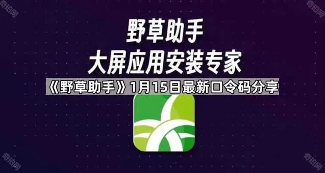 《TA》软件口令码使用方法教程