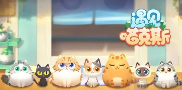 《遇见喵克斯》生小猫玩法指南