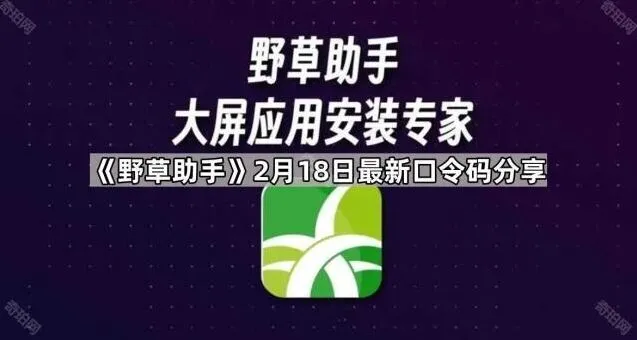TA最新口令码分享方法详解