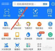 《支付宝》查看健康码URL代码技巧分享
