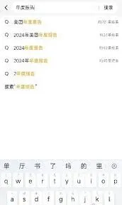 美团年度报告