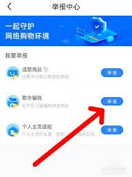 闲鱼投诉卖家技巧完整指南