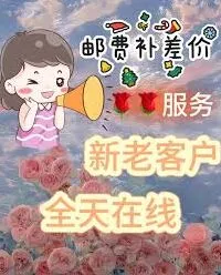 支付宝花呗提前还款全部结清步骤指南