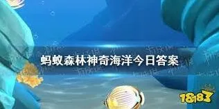 支付宝神奇海洋5月24号答案