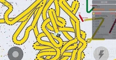 贪吃蛇大作战高分截图：2万分战绩集锦