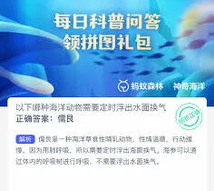 支付宝呼吸